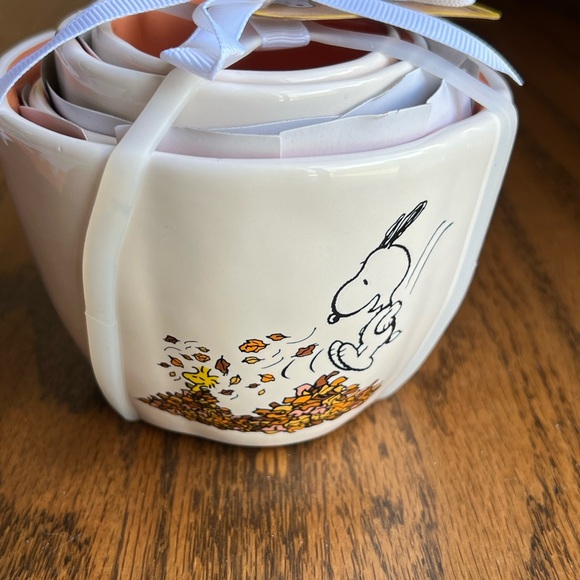 Snoopy Rae Dunn Fall Measuring Cups - Picture 2 of 5